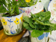 Old Bus Depot Markets Stallholder - Ceramic Pottery By Meg. Pot Plants.