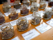 Selection of Teas in glass jars from Old Bus Depot Markets Stallholder, Glenbog Nurseries and Tea