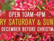 Old Bus Depot Markets, Christmas Trading 2015