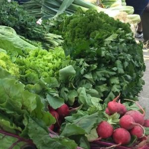 Fresh vegetables at the Old Bus Depot Markets