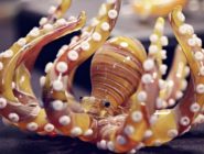Delicate orange and yellow miniature glass octopus made by Old Bus Depot Markets stallholder, Glass Miniatures