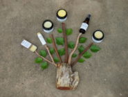 Fresk Skincare - Tree Landscape - at the Old Bus Depot Markets