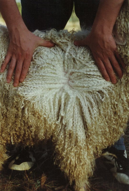 Camelot Mohair 2